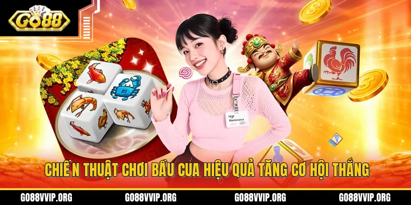 Những chiến thuật hiệu quả giúp tỷ lệ thắng cược tăng cao